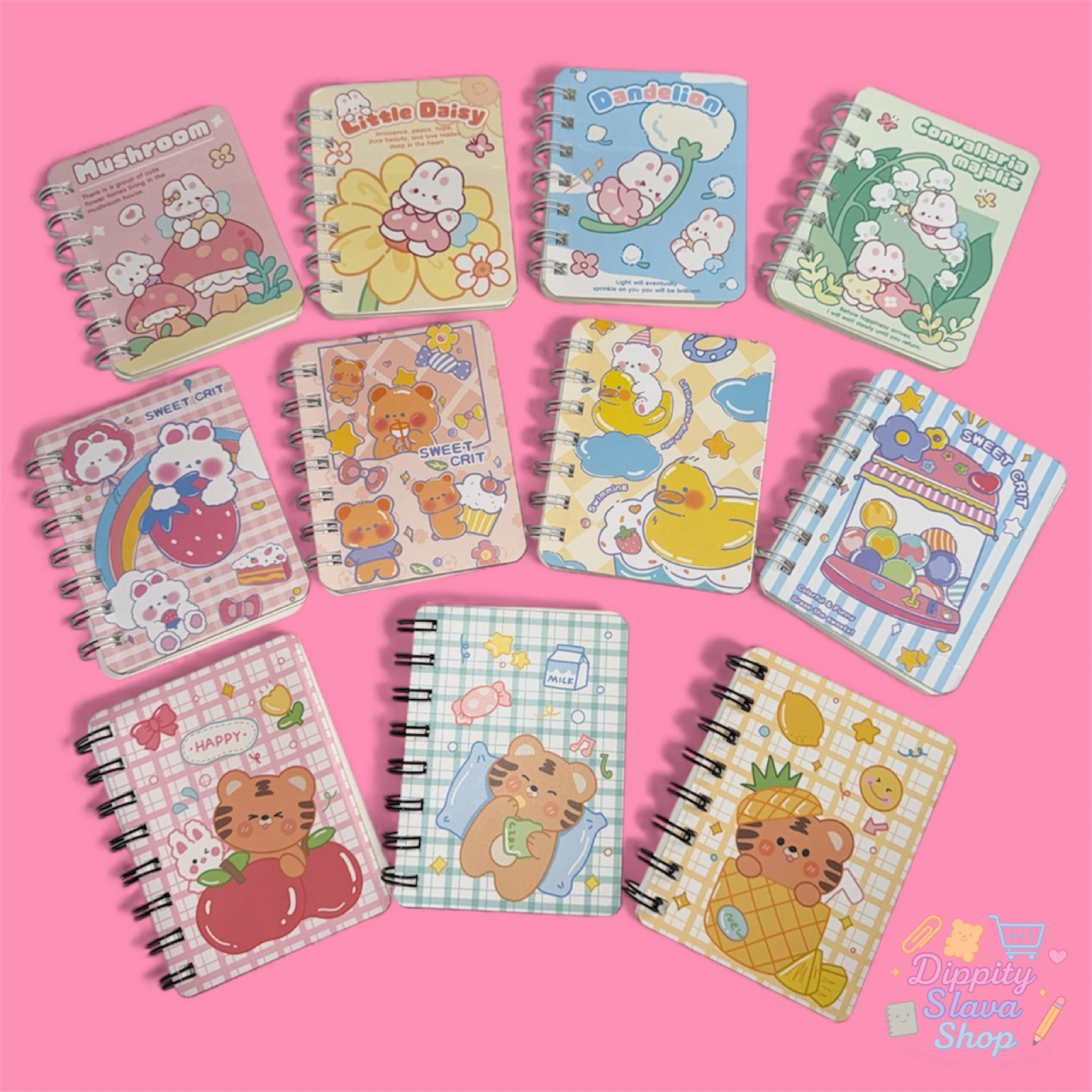 Mini Spiral Notebooks